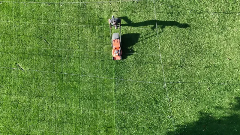 Overhead view of a person mowing a green lawn