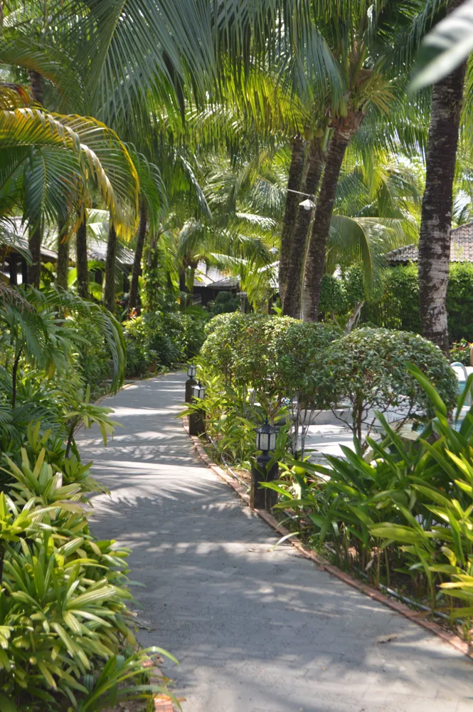 A garden walkway bordered by palms and trimmed shrubs